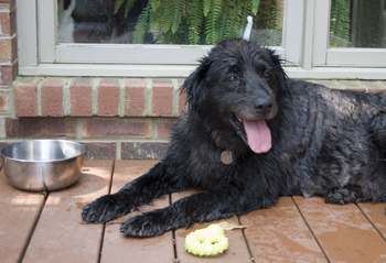 I wish they appreciated my hobbies.