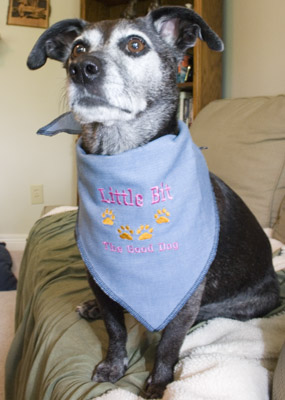 Little Bit, the good dog!