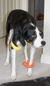 especially when you use them to pick on Lyle!