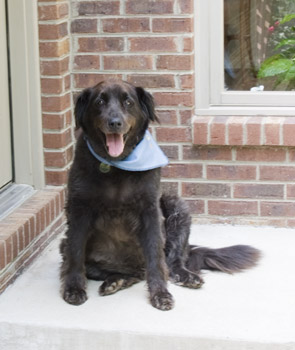 Does this mean we won't go for six weeks?