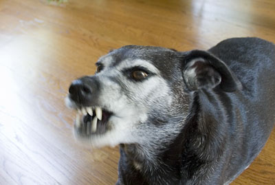 My white cells need to attack the evil cancer like I would do with my teeth if I could.