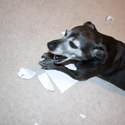 If you swallow too soon it can get stuck on the way down.