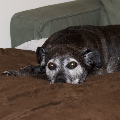 Another good day for a nap.