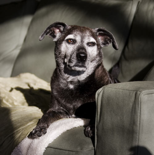 Some days it is best just to find a nice sunny spot and relax.