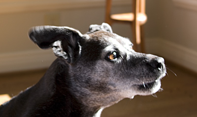 Flying lessons are coming right along.