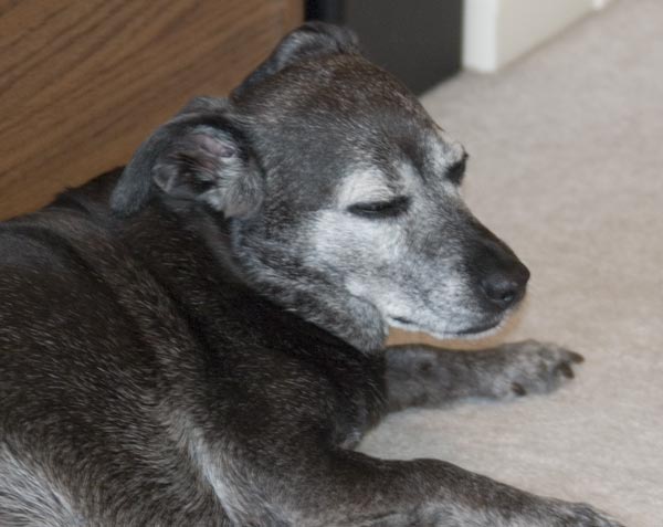 I've been sleeping a lot.