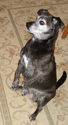 Well, I still had to beg some.