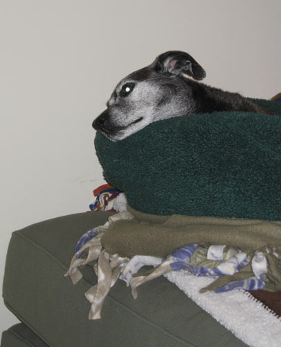 I'm on top of the world...