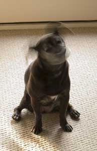 They may call it abstract art, but I think really it is just lack of talent.