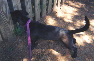 My first ever photograph, as best as I can remember anyway.