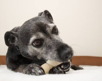 I do what I can for the sake of art.