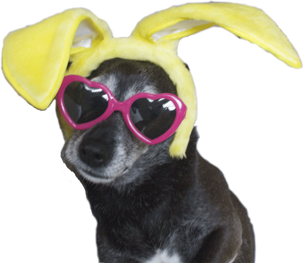 I look good no matter what I wear!