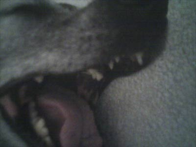 Camera phone - will they ever stop buying new ways to capture what should be my private moments?