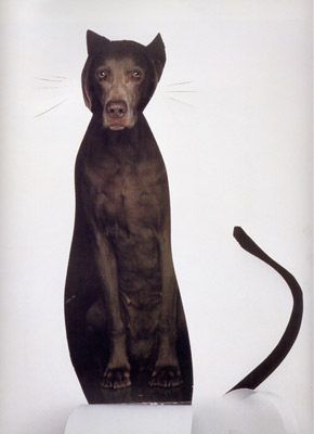 Mr. Wegman's original.