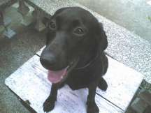 Will she be a traitor?