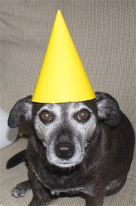 you don't think I know good eats when I taste them?