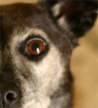 now we're talking ice cream!