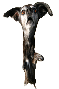 I'm glad I don't really look like this!!!!