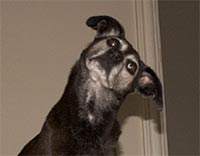 Sometimes it doesn't matter which angle you look at it from.