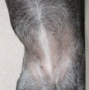 As beautiful as it was on the day I was born.