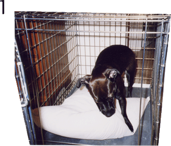 Start by grabbing a corner...