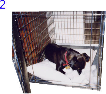 Then work at the corner until you get a little hole...