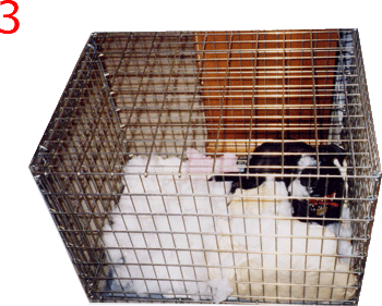 Once you get started, it's hard to stop.  Kind of like Lays chips.