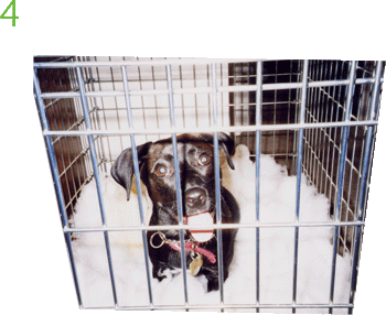 Be proud of your work!