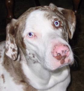 Thank you Skye and Nina!